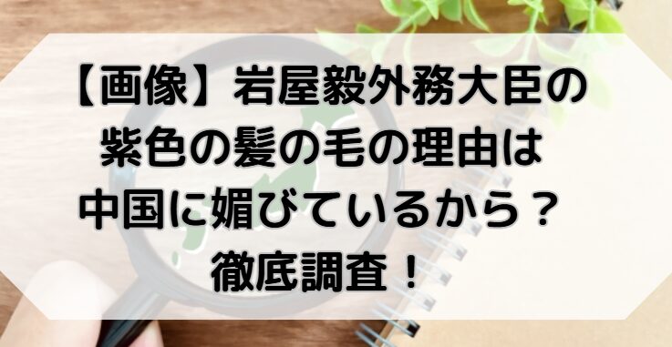 岩屋外務大臣の紫色の髪の毛の理由