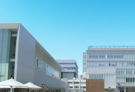 愛知淑徳大学